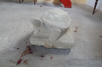 Schildkröte (2).jpg